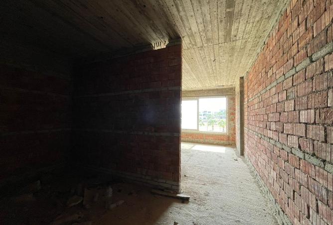8042667 - Property Image 3