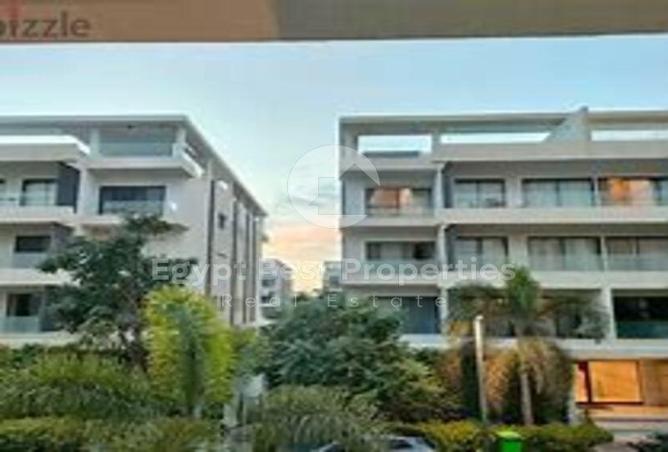 7971575 - صورة العقار 3