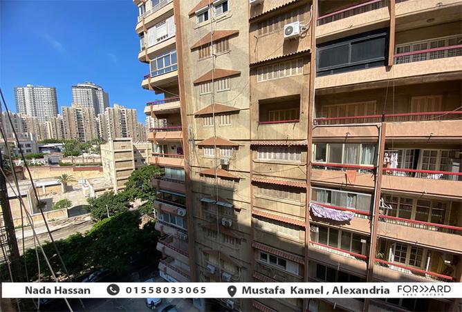 7991339 - Property Image 2