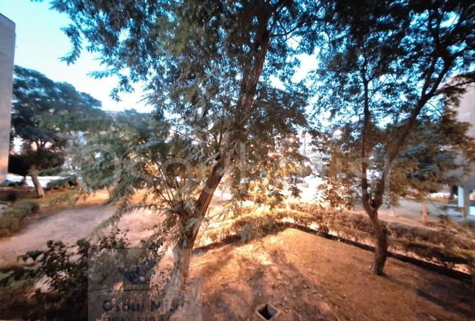 8471336 - صورة العقار 2