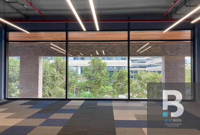 8192510 - صورة العقار 3