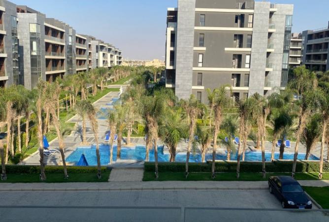 8445688 - Property Image 3