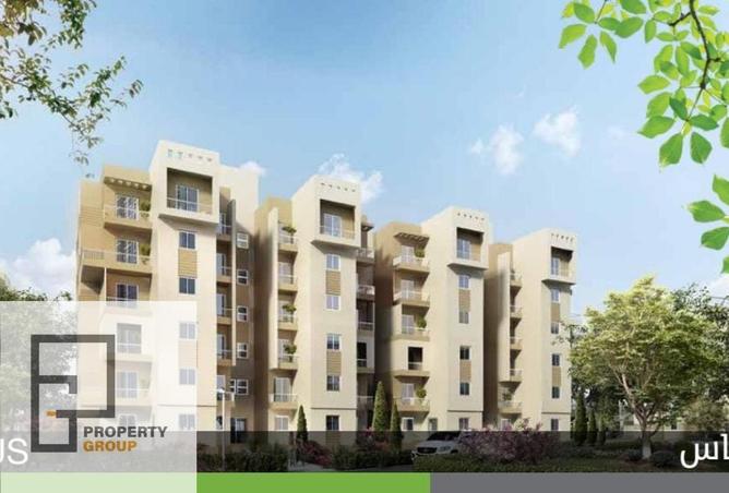 8328559 - Property Image 3