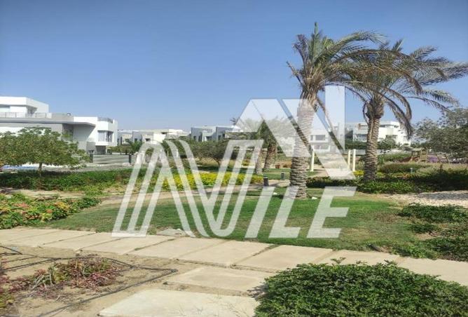 8353389 - Property Image 2