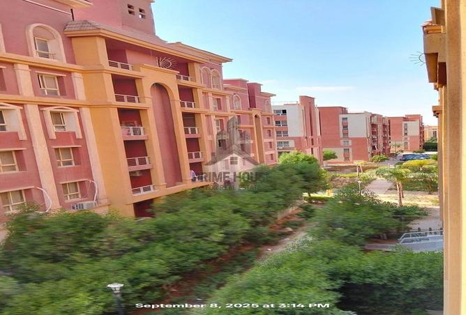 7933998 - Property Image 3