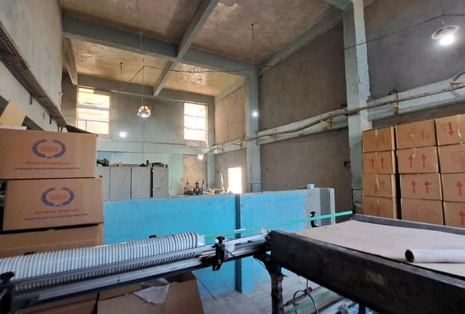 8008189 - Property Image 3