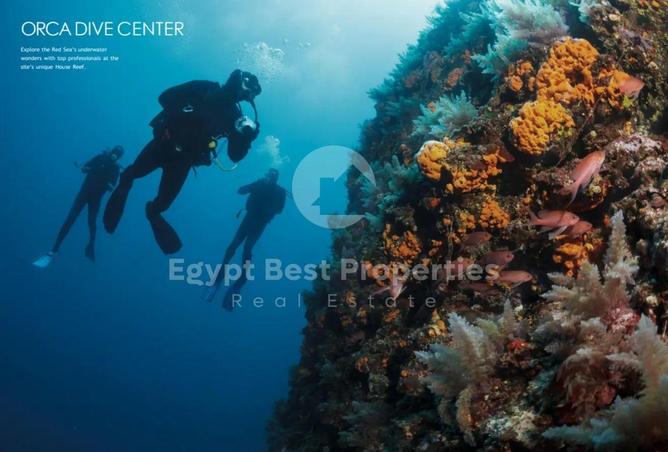 7926326 - صورة العقار 2