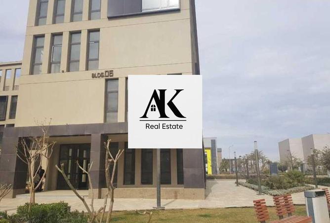 8503065 - Property Image 3