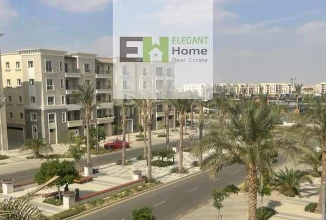 8423287 - Property Image 3