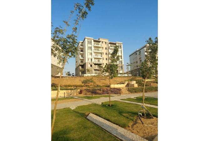7998505 - الصورة الرئيسية للعقار