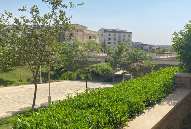 7927613 - صورة العقار 3