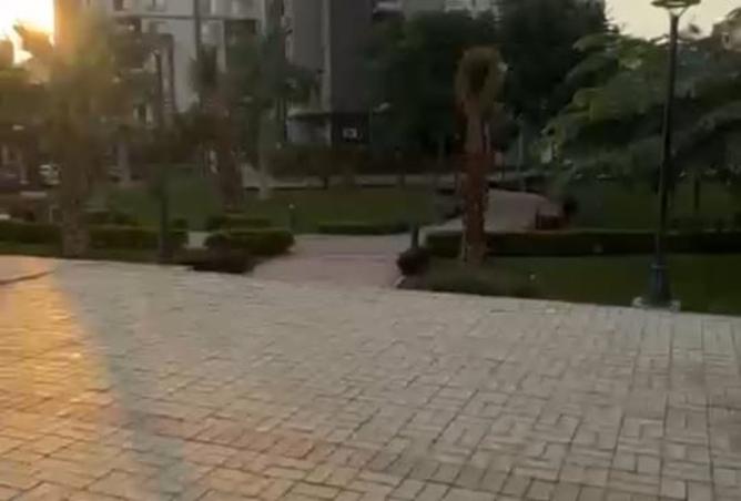 8466589 - صورة العقار 3