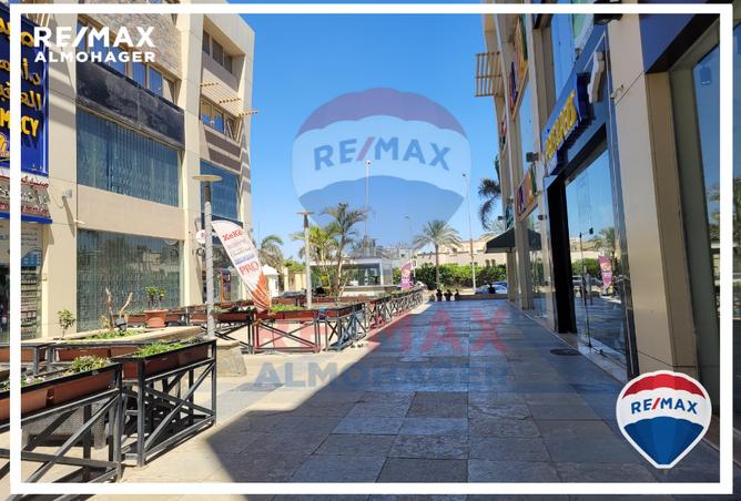 7980409 - Property Image 3