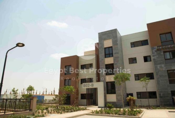 8029043 - صورة العقار 2