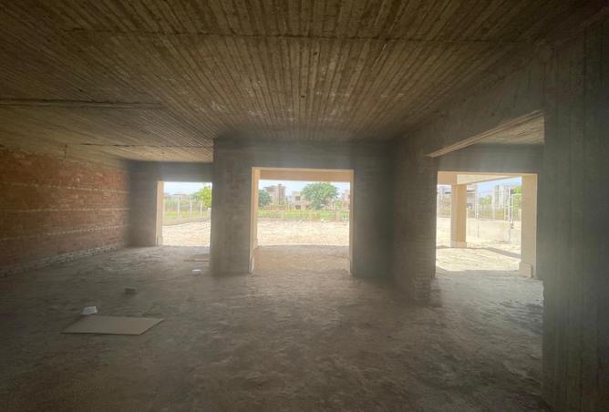 8551445 - Property Image 3