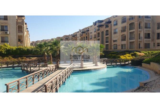 7968182 - الصورة الرئيسية للعقار