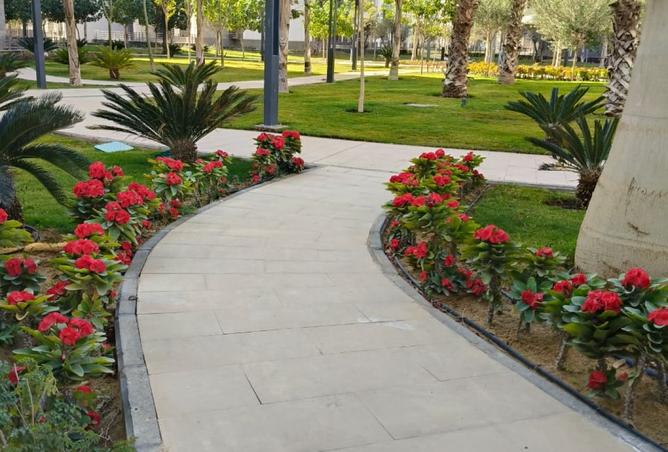 8519894 - صورة العقار 2