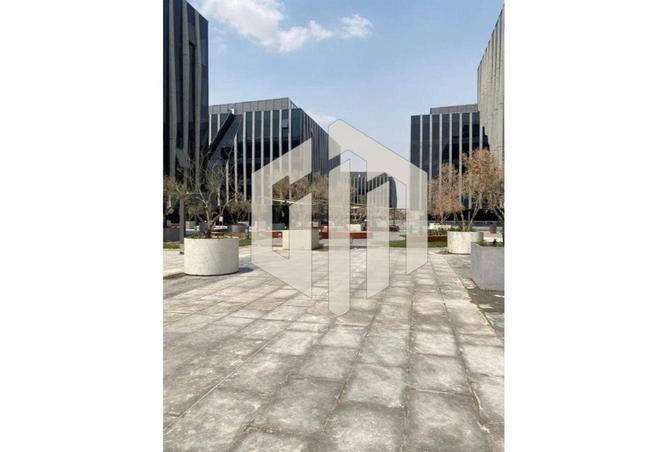 7932574 - صورة العقار 2