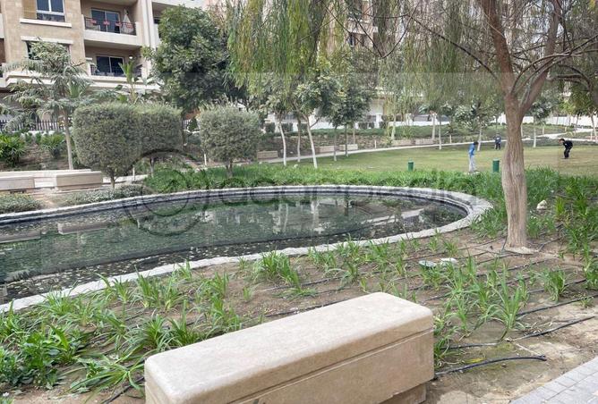 8193323 - الصورة الرئيسية للعقار