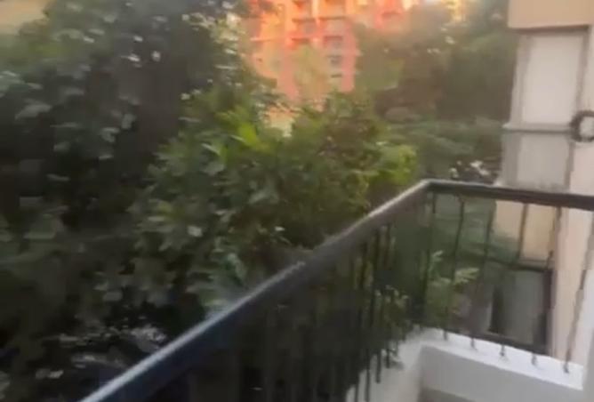 8055394 - صورة العقار 2