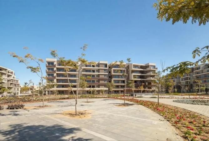 8251729 - Property Image 2