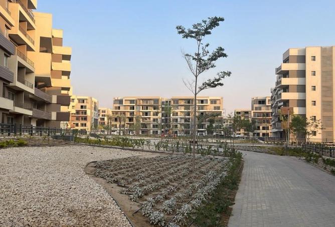 8276091 - Property Image 2