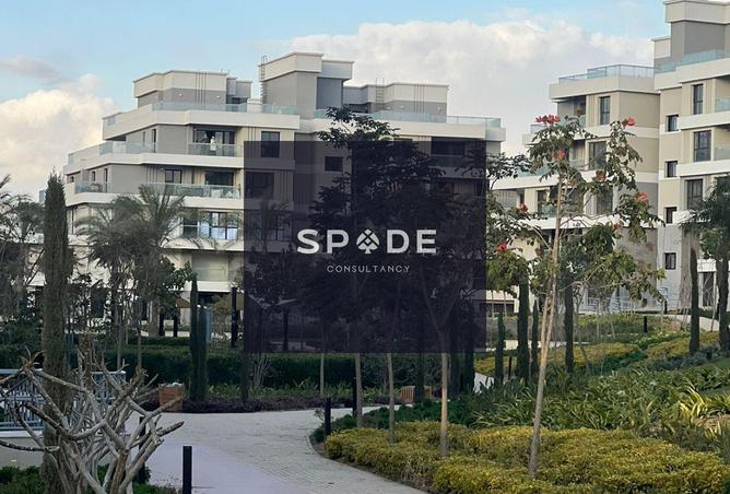 8319493 - صورة العقار 2