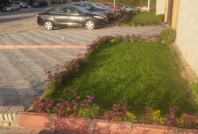 8259073 - الصورة الرئيسية للعقار