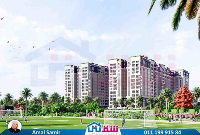 8165566 - Property Image 3