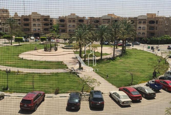 8516101 - Property Image 3