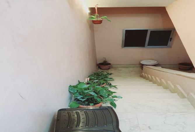 8230183 - صورة العقار 3