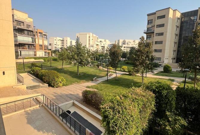 7923993 - Property Image 3