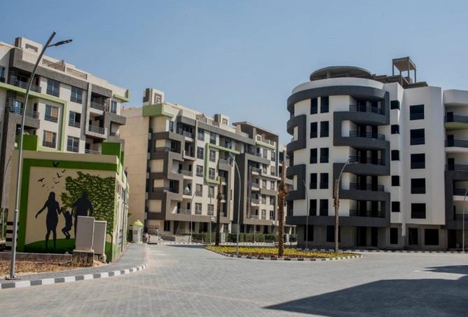 8200784 - Property Image 3