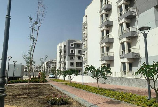 8251625 - Property Image 3