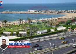 شقة - 3 غرف نوم - 3 حمامات للايجار في زيزينيا - حي شرق - الاسكندرية