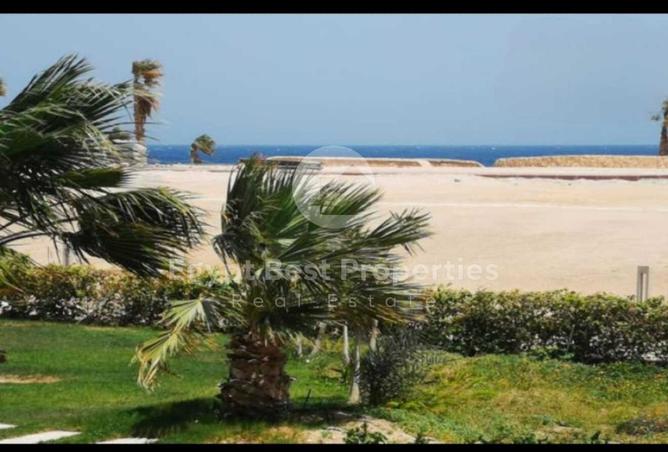 8239653 - صورة العقار 3