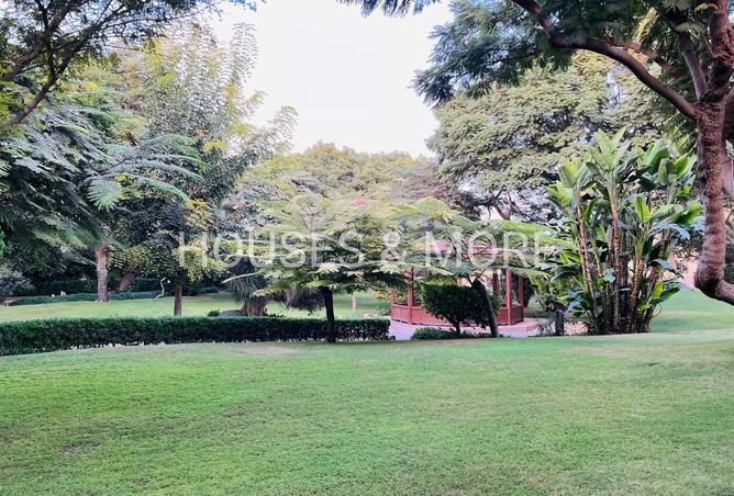 8415316 - صورة العقار 3