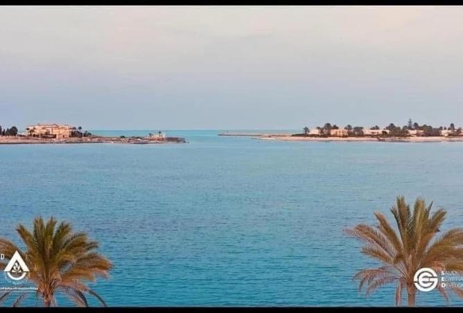 8032647 - صورة العقار 3