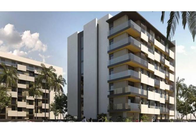 8002356 - Property Image 3