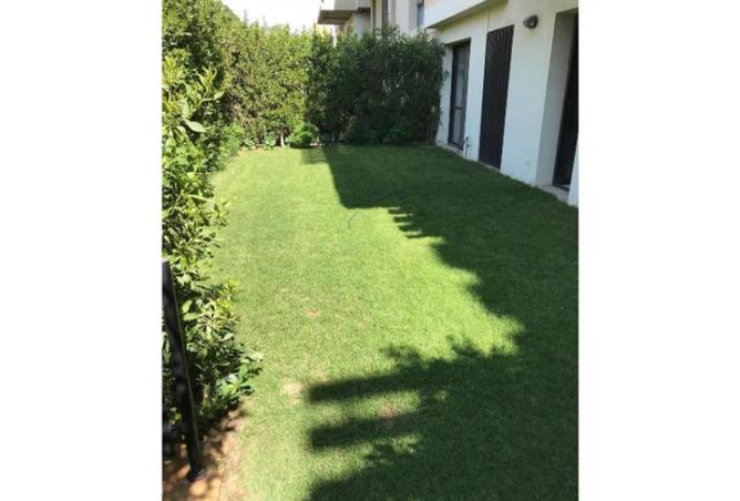 8517087 - Property Image 3