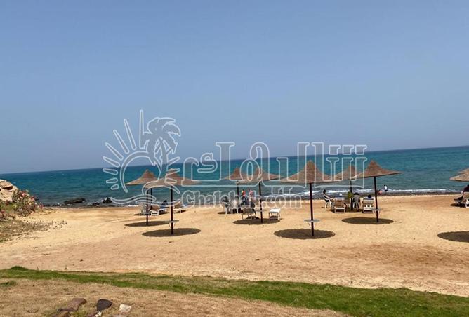 7991999 - صورة العقار 2