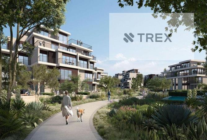 6890893 - Property Image 3