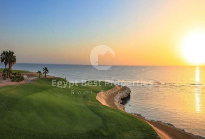 8074823 - Property Image 3
