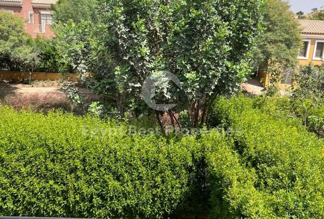 7959826 - صورة العقار 3