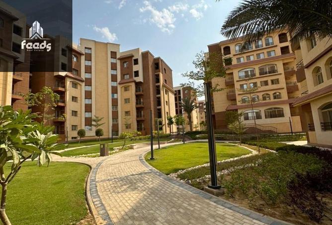 8386956 - صورة العقار 3