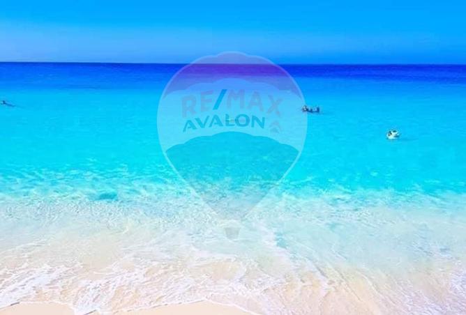 6317834 - الصورة الرئيسية للعقار