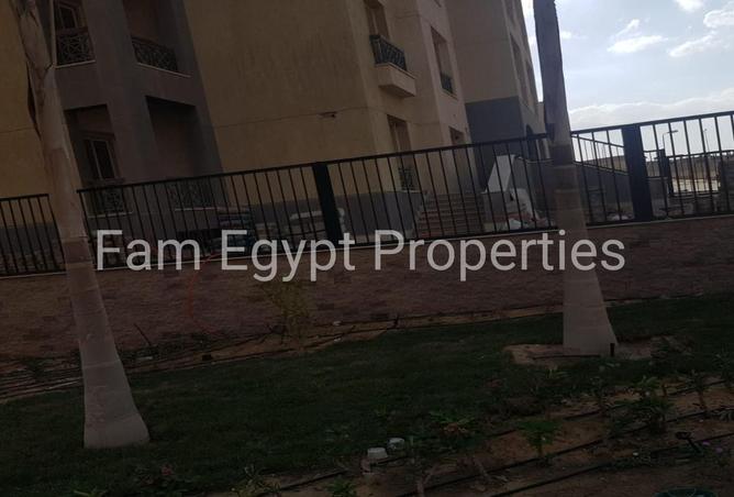 8418881 - Property Image 3