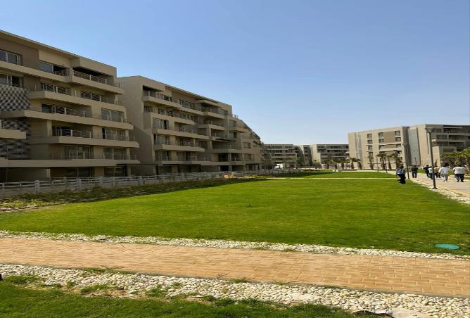 7987087 - Property Image 3