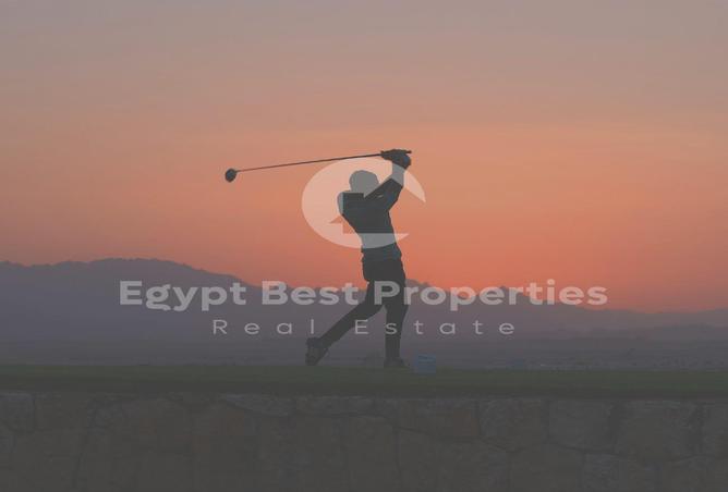 7968475 - صورة العقار 3