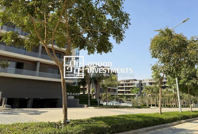 8282953 - Property Image 2